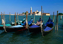 Gondolas moored with the Island of San Giorgio Maggiore, the Veneto Region, Venice, Italy