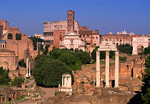 The Roman Forum and Colosseum (The Foro Romano) Rome, Italy