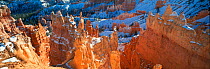 Panoramic view of rock hoodoos in Bryce Amphithreatre, Bryce Canyon NP, Utah, USA