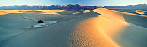 Panoramic view of sand dunes, Death Valley NP, California, USA