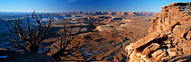 Panoramic view of Green River overlook, Island in the Sky District, Canyonlands NP Utah, USA