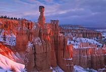 Thor's Hammer and 'Hoodos' in Bryce Amphitheatre in snow in winter, Bryce Canyon NP, Utah, USA