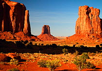 Arid landscape of Monument Valley Navajo Tribal Park, Arizona, USA