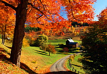 'Sleepy Hollow Farm near Woodstock in Autumn, Vermont, USA