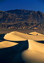 Sand dunes in Death Valley NP, California, USA