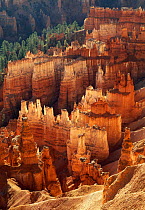 Rock 'Hoodos' in Bryce Canyon NP, Utah, USA