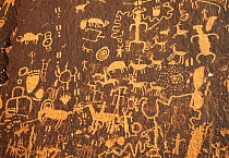 Anasazi Indian Rock Petroglyphs, Canyonlands NP, Utah, USA