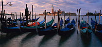 Panoramic view of gondolas moored with the Island of San Giorgio Maggiore, Venice, Italy - early morning
