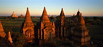 Old Bagan Archaeological Zone, ancient Temples at dusk, Bagan (Pagan) Burma / Myanmar