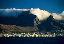 Table Mountain and the City from the Bay, Cape Town, South Africa