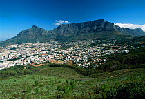 Table Mountain beyond the city bowl, Cape Town, South Africa