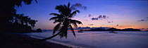 Anse Severe Beach and Palm Tree at sunset, La Digue Island, Seychelles, Indian Ocean