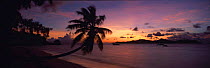 Anse Severe Beach and Palm Tree at sunset, La Digue Island, Seychelles, Indian Ocean