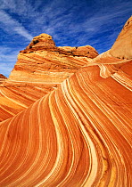 Petrified Dunes, Vermillion Cliffs NM, Paria Canyon, Arizona, USA