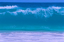 Wave breaking on beach, Sal, Cape Verde Islands