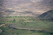 Aerial view of transition between Jiddat al Harasis desert, Central Oman, and Dhofar grasslands, Southern Oman, Bactrian camels grazing in foreground.