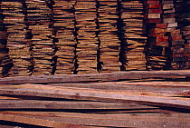 Illegal trade in hardwood timber extracted from Virunga NP, DR Congo