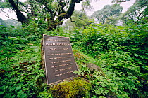 Grave of Dian Fossey, primatologist, murdered in 1985, Parc des Volcans NP, Rwanda - memorial