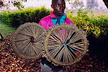 Ranger with spiked bamboo Buffalo snares confiscated from Ruherngeri, Parc des Volcans NP, Rwanda