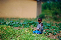Rwandan child sitting beside vegetable plot, Kinigi, Parc des Volcans NP, Rwanda