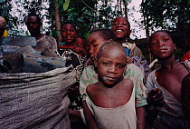Children helping parents to collect charcoal, Kinigi, Parc des Volcans NP, Rwanda