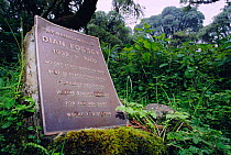 Grave of Dian Fossey murdered at Karisoke mountain gorilla research centre, Uganda