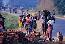 Rwandan women walking to market carrying goods on head, Brick works, Ruhengeri, Parc des Volcans NP, Rwanda