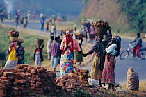 Rwandan women walking to market carrying goods on head, Brickworks, Ruhengeri, Parc des Volcans NP, Rwanda