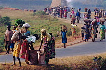 Rwandan women walk to market carrying goods on head, Ruhengeri, Parc des Volcans NP, Rwanda