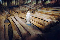 Human femur bones of Tutsi victims with Christian icon, genocide memorial, Ntarama church, Nyamata, Rwanda