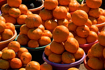 Bowls of oranges for sale in market, South Africa