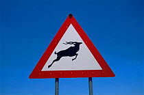 Beware of Animals crossing warning sign on road, South Africa