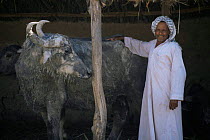Marsh arab with domestic buffalo, Iran, 1998