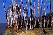 Prayer flags on the Dochu La Pass at 10,000 ft on the road from Thimphu to Punakha, Bhutan 2001