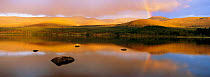 Loch Morlich in evening light, Cairngorms National Park, Scotland.