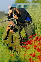 Wildlife photographers taking photos