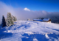 Chalet in fresh snow, nr Col de Bessachaux, Haute Savoie, Alps, France