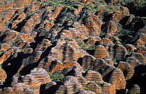 Bungle bungles, Kimberley, Purnululu NP, Western Australia