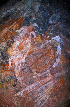 Aboriginal rock paintings, Ubirr rock, Arnhem land, Kakadu NP, Northern Territory, Australia