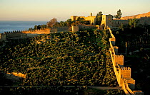 Fortified walls, Alcazaba, Almeria, Andalucia, Spain