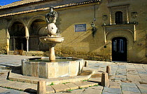 Fountain in courtyard of Roman museum, Cordoba, Andalucia, Spai
