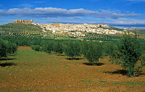 Hilltop village + castle + olive grove, Banos Encina, Jaen, Andalucia, Spain