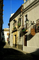 Old street, Casco antiguo, Cordoba, Andulacia, Spain