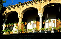 Arched balcony, Zoco, Casco antiguo, Cordoba, Andulcia, Spai