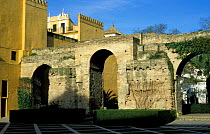 Archways in old wall, Patio Monteria, Alcazar, Seville, Andalucia, Spain