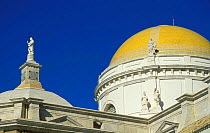 Dome and statues of Cadiz cathedral, Spain