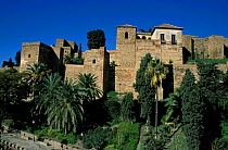 Fortified walls, Alcazaba, Malaga, Andalucia, Spain