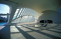 Modern architecture of Ciudad Artes y Ciencias (City of Arts and Sciences) Valencia, Spain