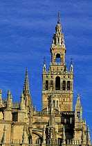 Giralda cathedral, Seville, Andalucia, Spain