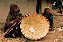 Woman making basket near Bandhavgarh NP, Central India